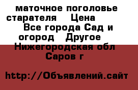 маточное поголовье старателя  › Цена ­ 3 700 - Все города Сад и огород » Другое   . Нижегородская обл.,Саров г.